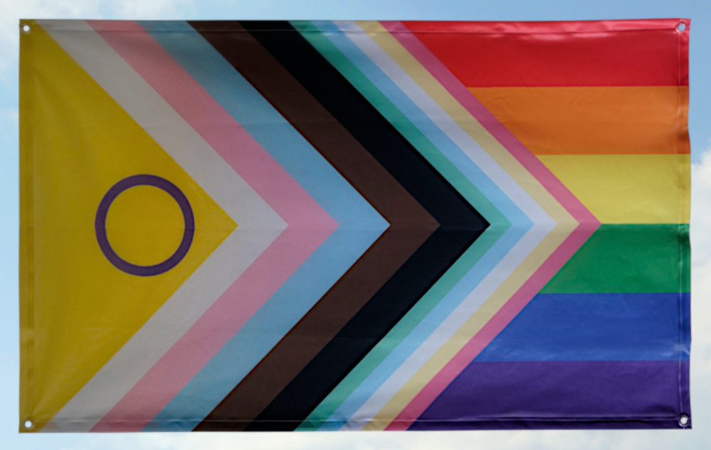 Disability and Inter* inklusive Progress Pride (90x150) (Bild für) Disability and Inter* inklusive Progress Pride (90x150)
