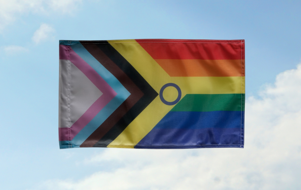 Inter* Progress Pride A: 30x52 o. 80x115 (Bild für) Inter* Progress Pride A: 30x52 o. 80x115